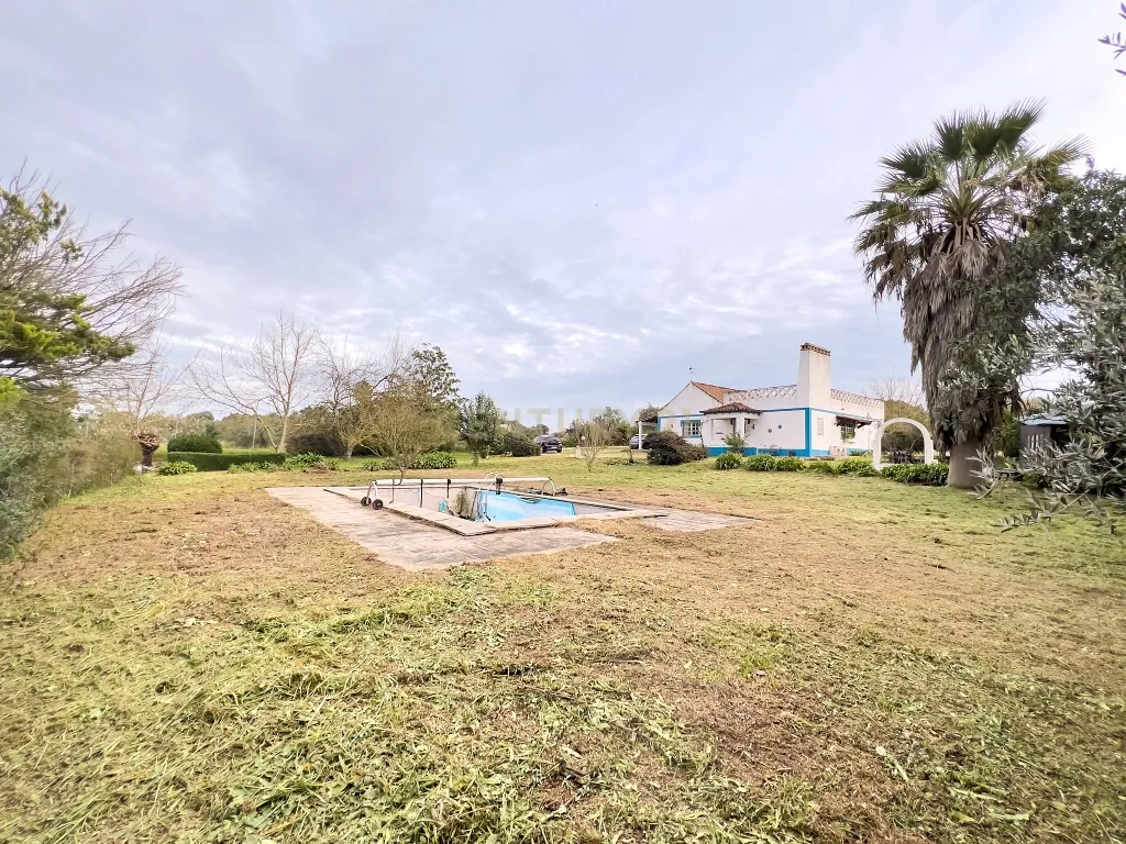 Exclusiva Herdade em Mora | Évora - Image 53
