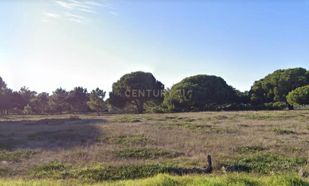 Terreno com 5000m2 na zona da Aldeia do Meco / Sesimbra - Image 3