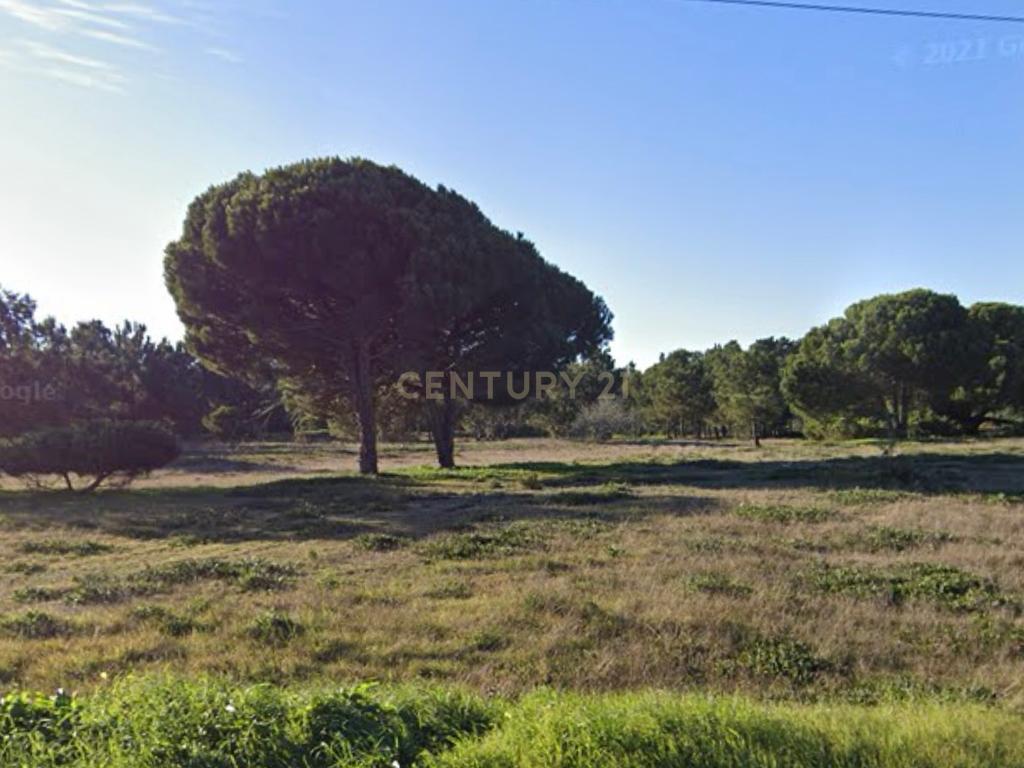 Terreno com 5000m2 na zona da Aldeia do Meco / Sesimbra - Image 1