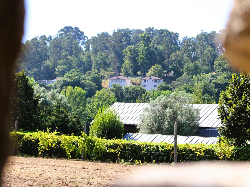 Quinta para restauro em Penafiel - Image 51