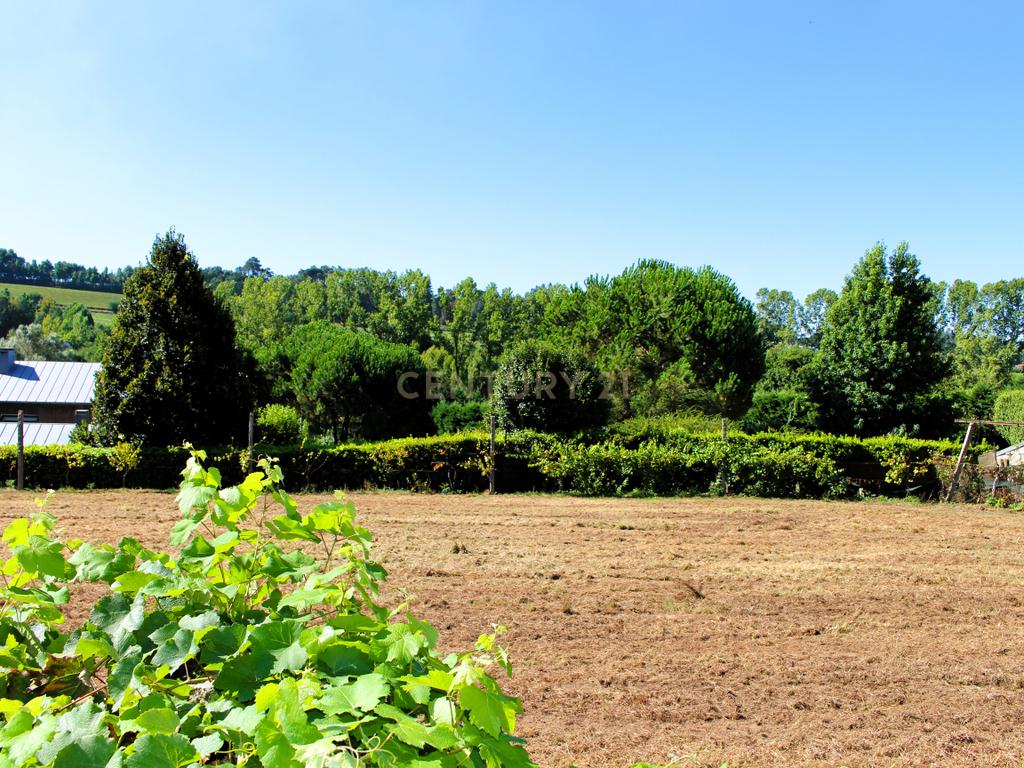 Quinta para restauro em Penafiel - Image 23