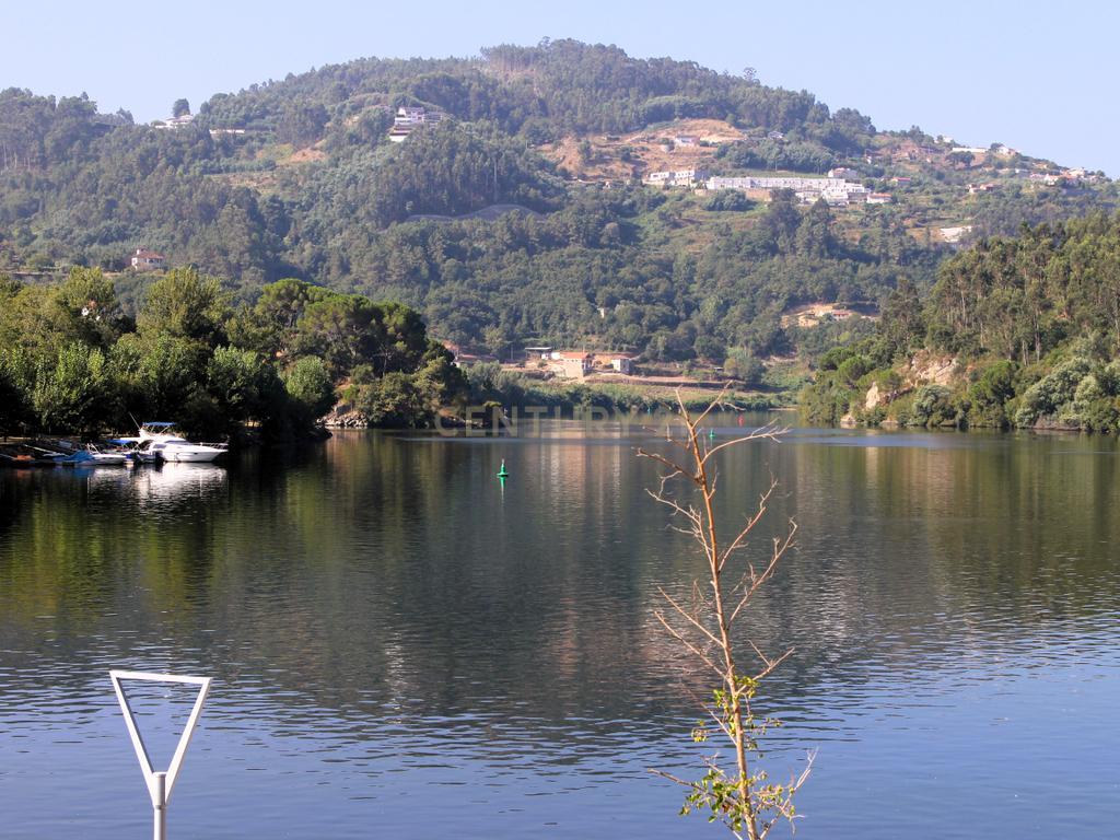 Quinta com casa com margem de rio Douro junto à Praia de Bitetos  - Image 81