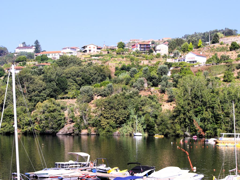 Quinta com casa com margem de rio Douro junto à Praia de Bitetos  - Image 78