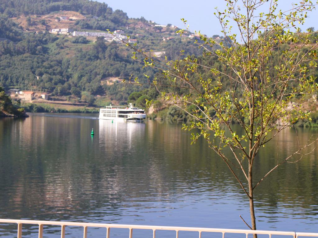 Quinta com casa com margem de rio Douro junto à Praia de Bitetos  - Image 94