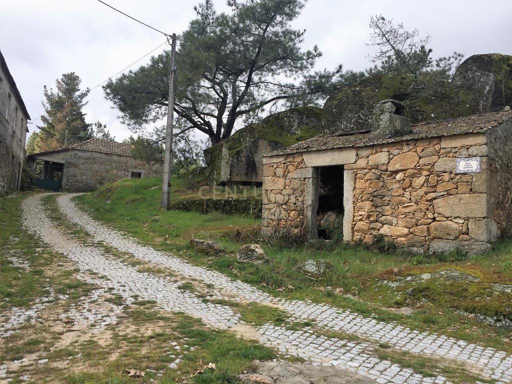 Moradia isolada em Pedra - Penalva do Castelo - Image 11