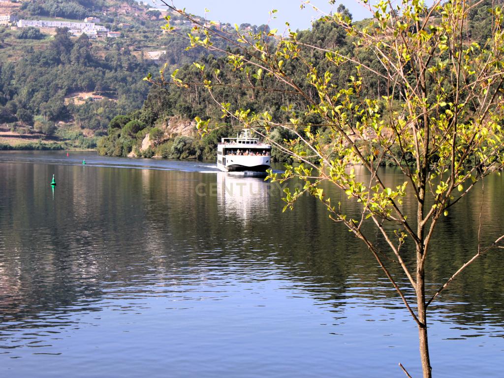 Quinta com casa com margem de rio Douro junto à Praia de Bitetos  - Image 98