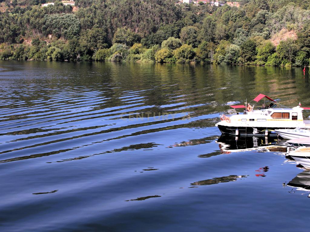 Quinta com casa com margem de rio Douro junto à Praia de Bitetos  - Image 104