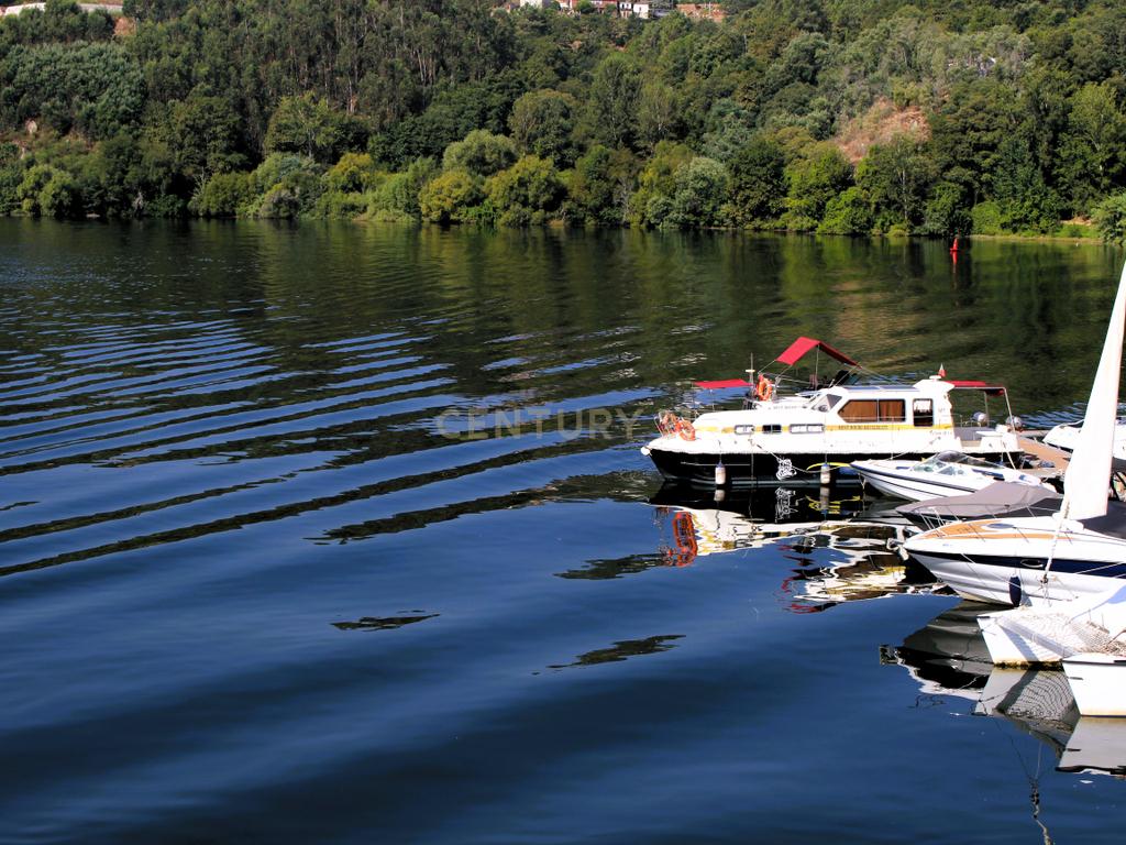 Quinta com casa com margem de rio Douro junto à Praia de Bitetos  - Image 107