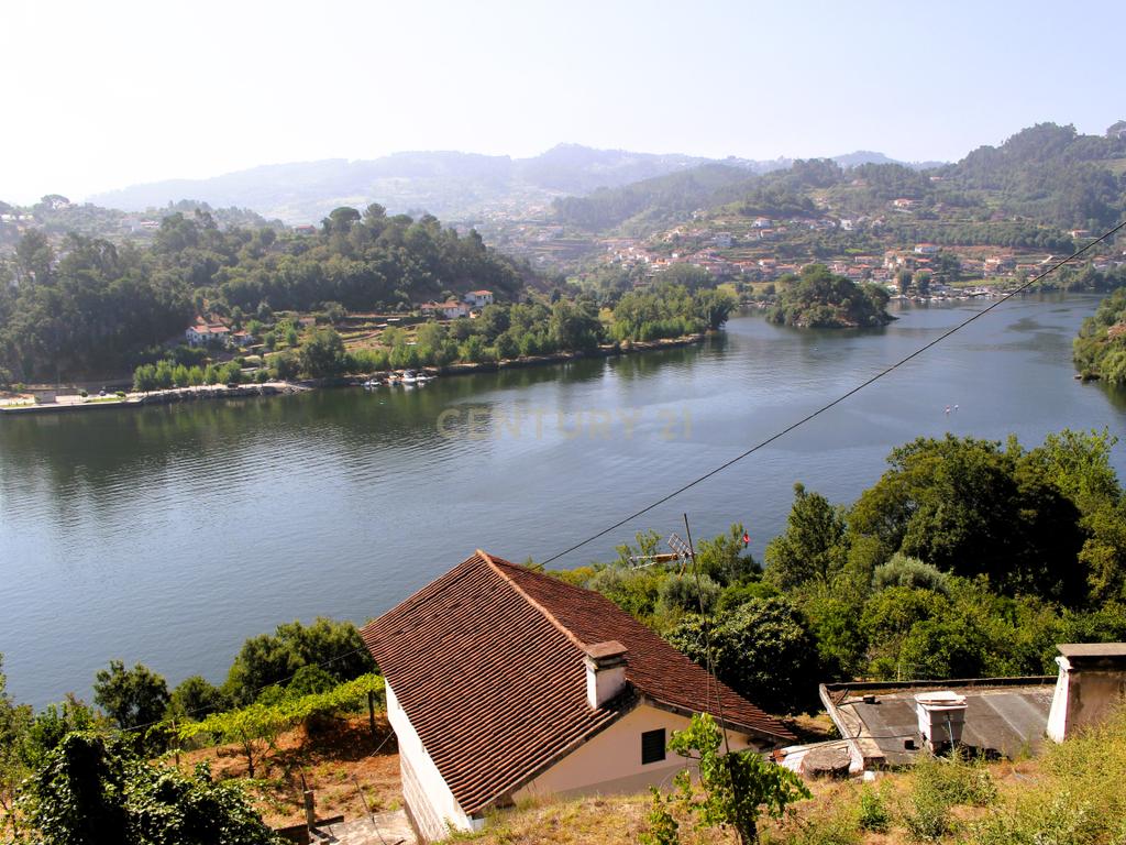 Quinta com casa com margem de rio Douro junto à Praia de Bitetos  - Image 2