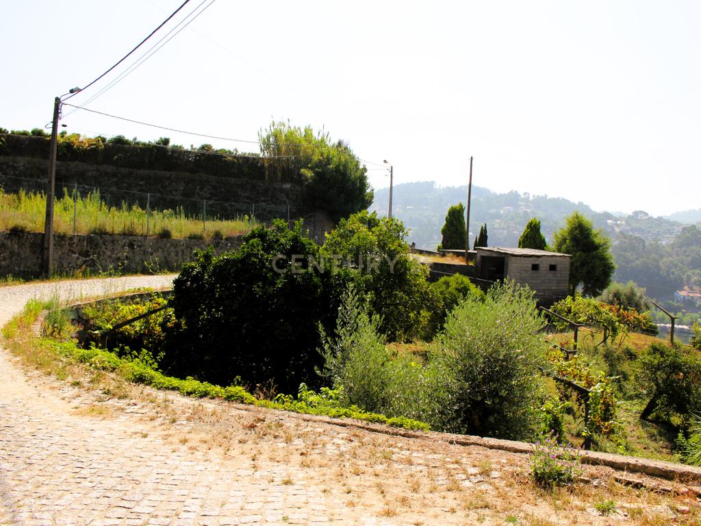 Quinta com casa com margem de rio Douro junto à Praia de Bitetos  - Image 61
