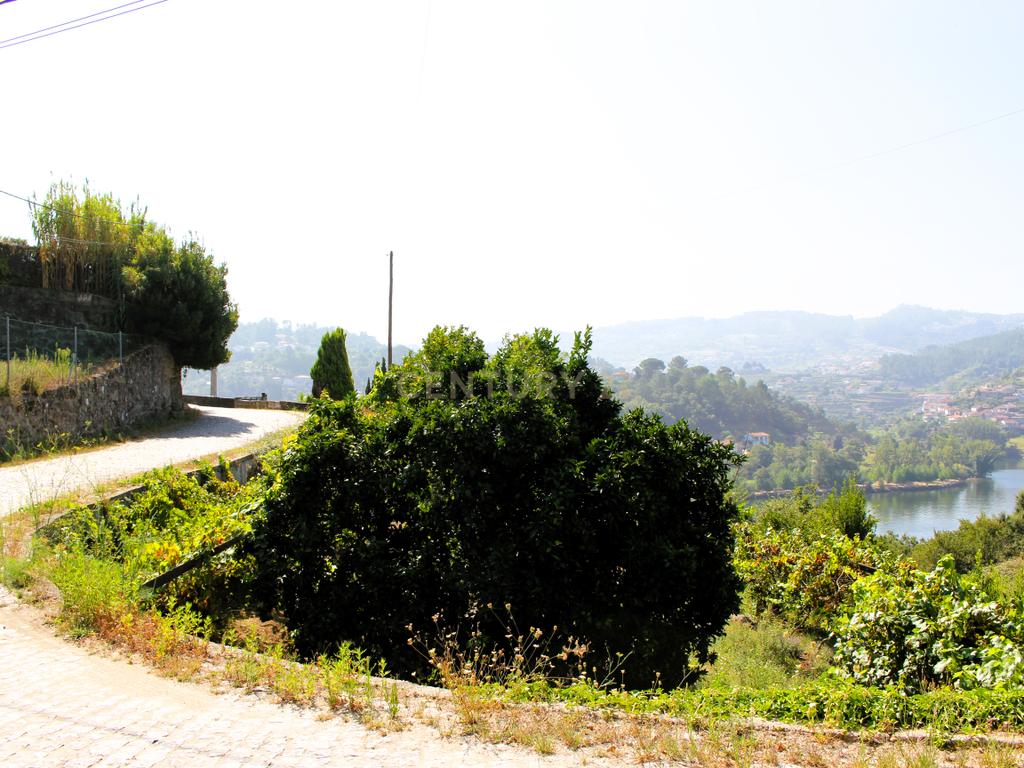 Quinta com casa com margem de rio Douro junto à Praia de Bitetos  - Image 62