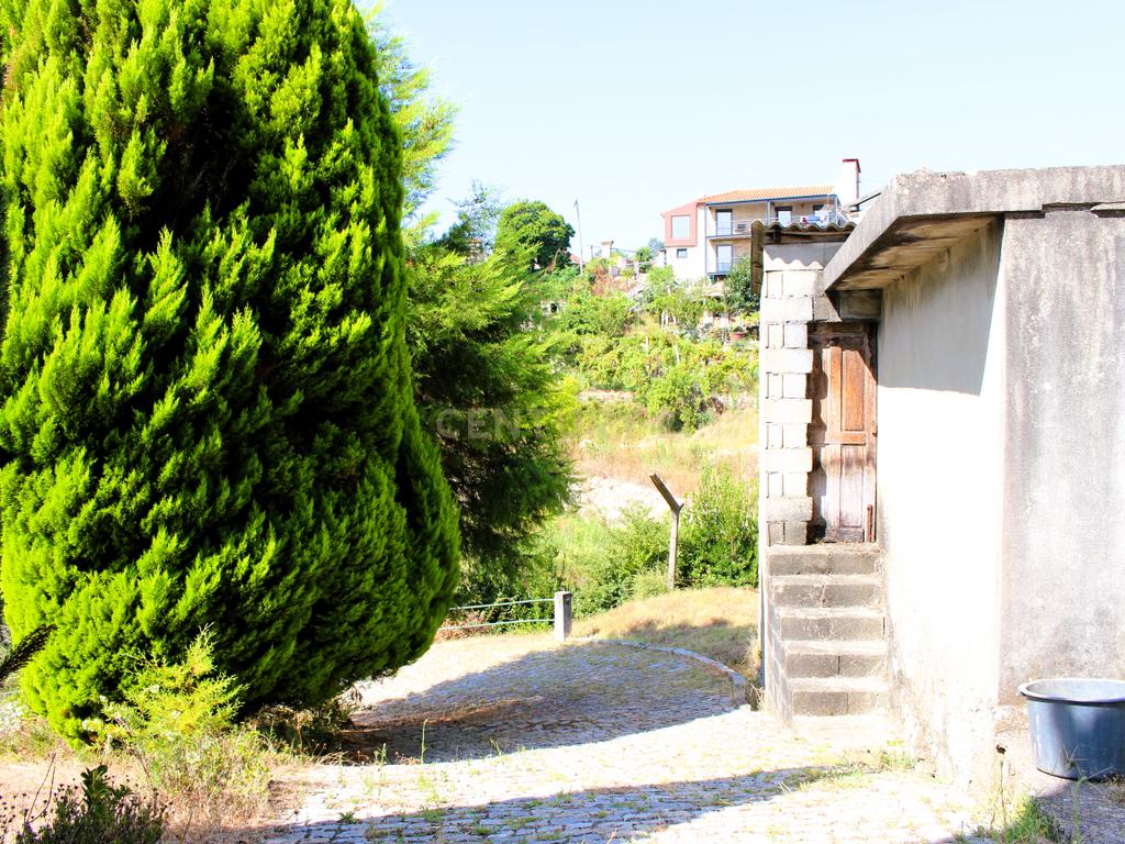 Quinta com casa com margem de rio Douro junto à Praia de Bitetos  - Image 13