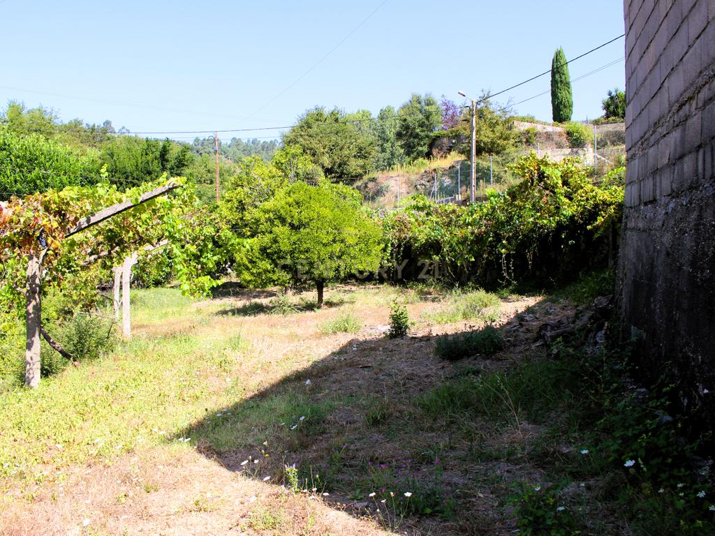Quinta com casa com margem de rio Douro junto à Praia de Bitetos  - Image 24
