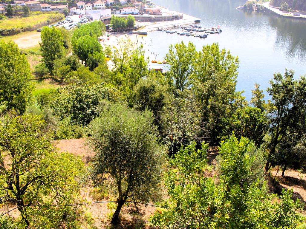 Quinta com casa com margem de rio Douro junto à Praia de Bitetos  - Image 50