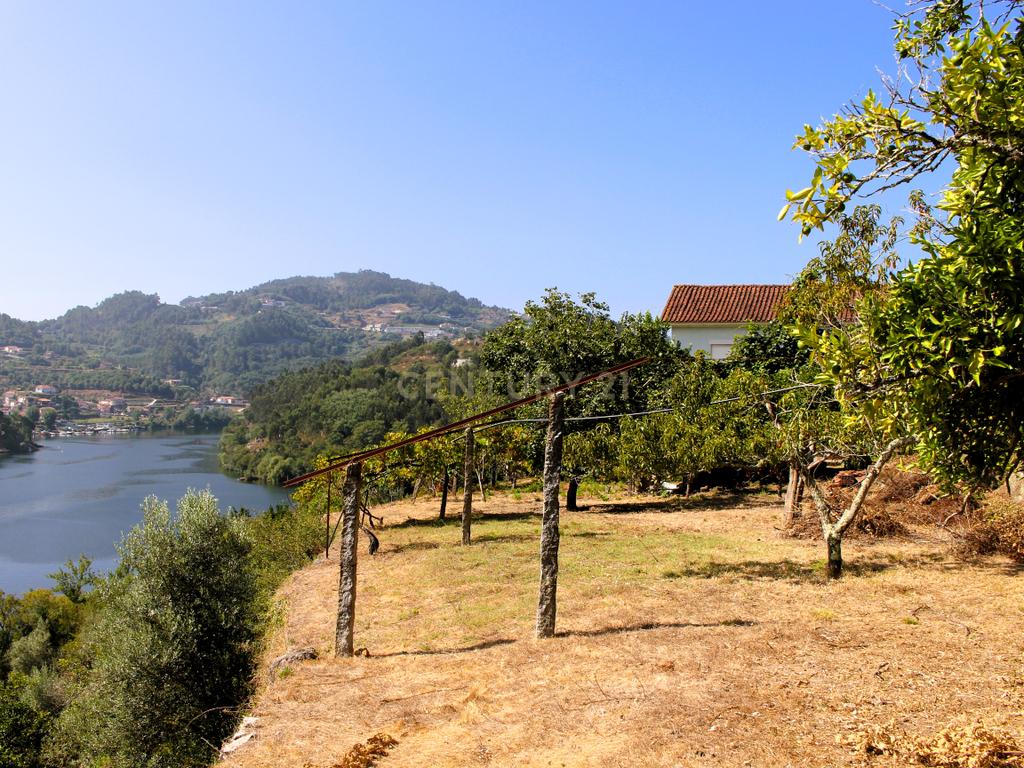 Quinta com casa com margem de rio Douro junto à Praia de Bitetos  - Image 58