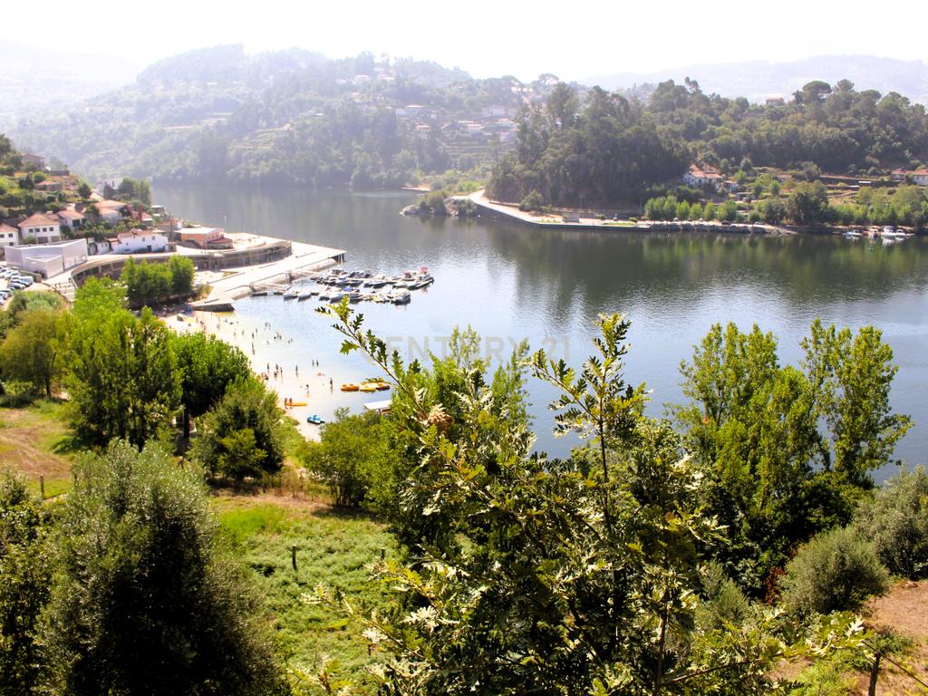 Quinta com casa com margem de rio Douro junto à Praia de Bitetos  - Image 49