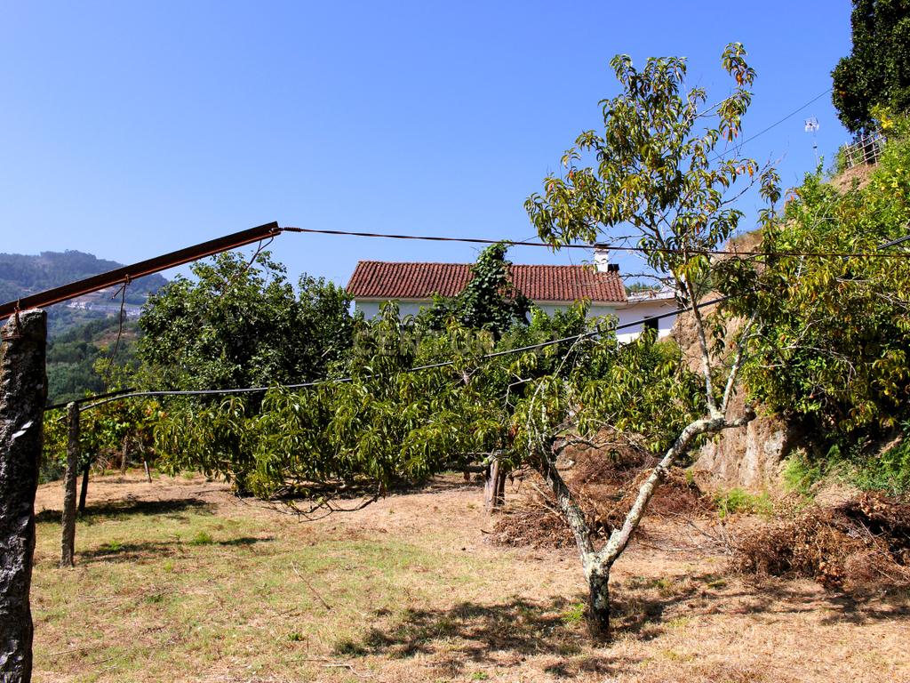 Quinta com casa com margem de rio Douro junto à Praia de Bitetos  - Image 12