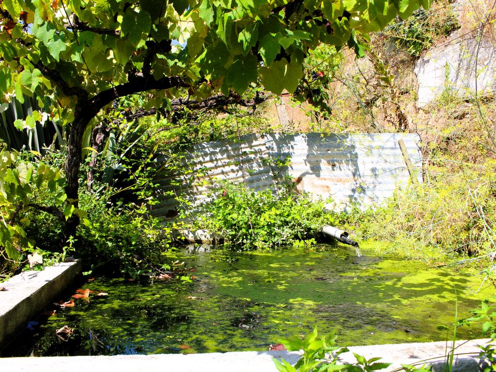 Quinta com casa com margem de rio Douro junto à Praia de Bitetos  - Image 39