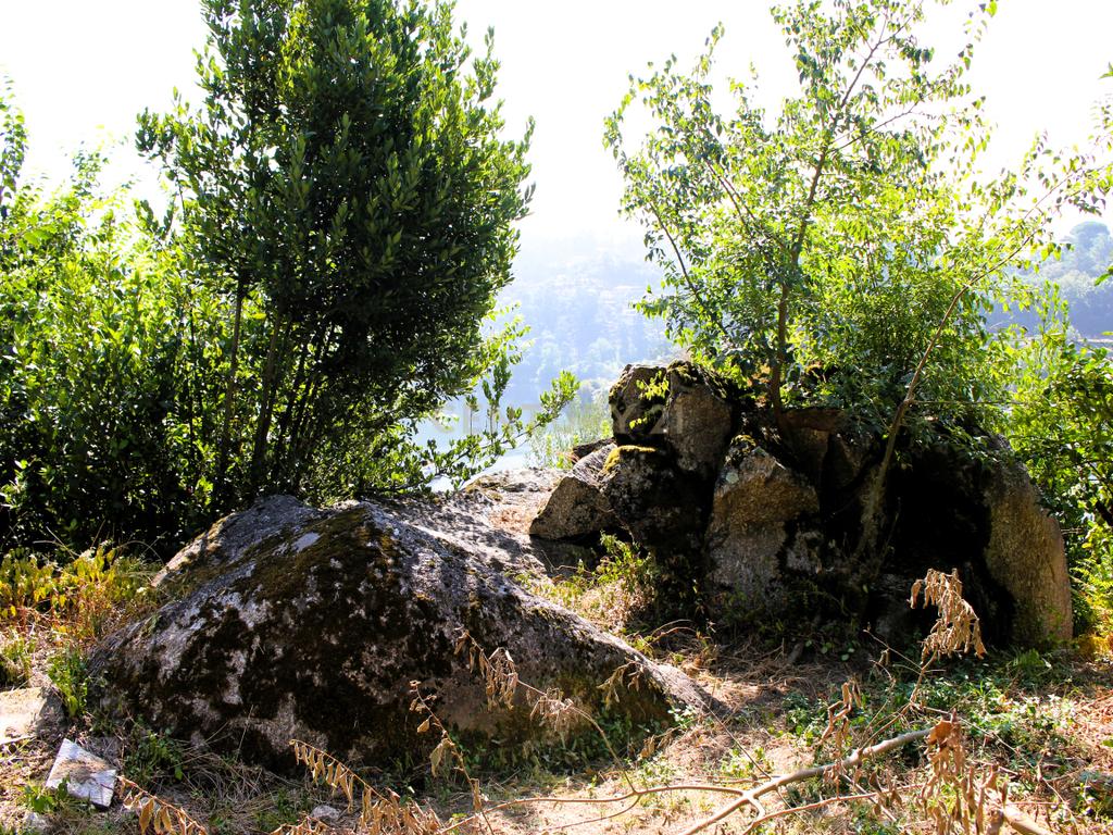 Quinta com casa com margem de rio Douro junto à Praia de Bitetos  - Image 46