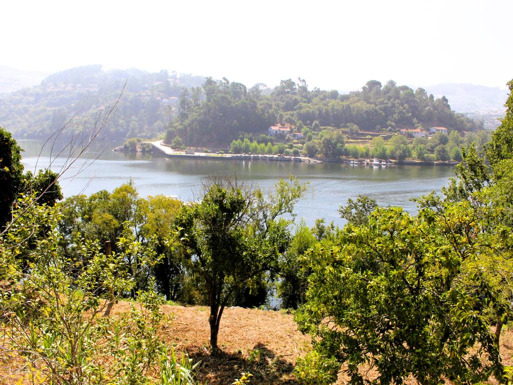 Quinta com casa com margem de rio Douro junto à Praia de Bitetos  - Image 30