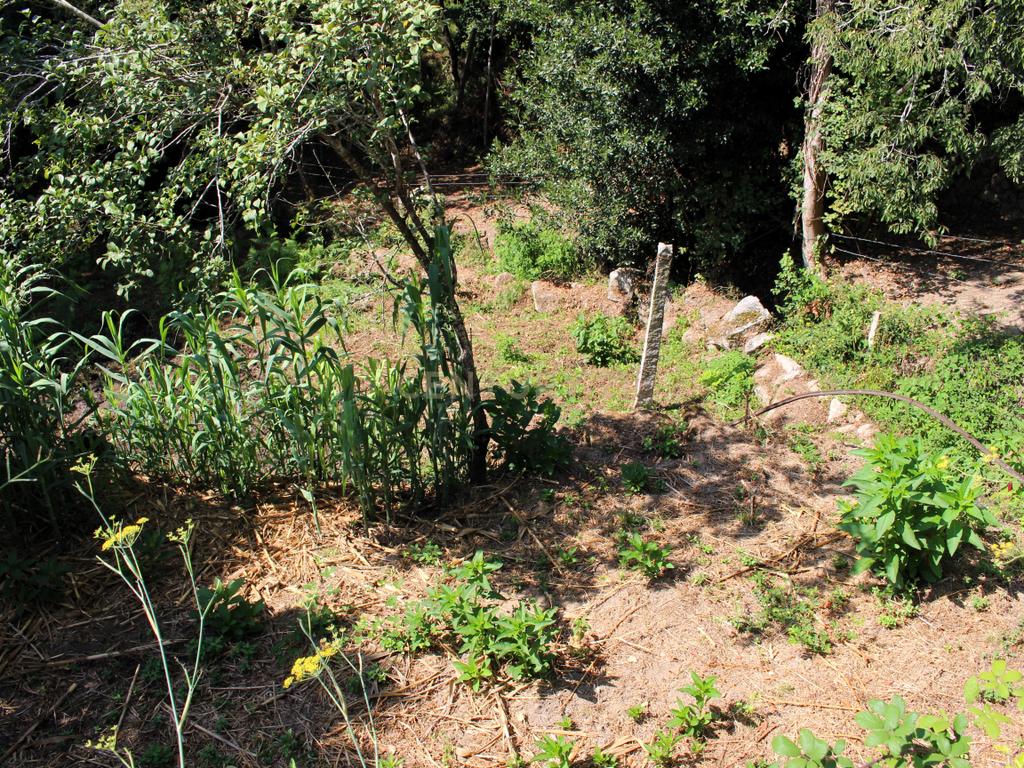 Quinta com casa com margem de rio Douro junto à Praia de Bitetos  - Image 33