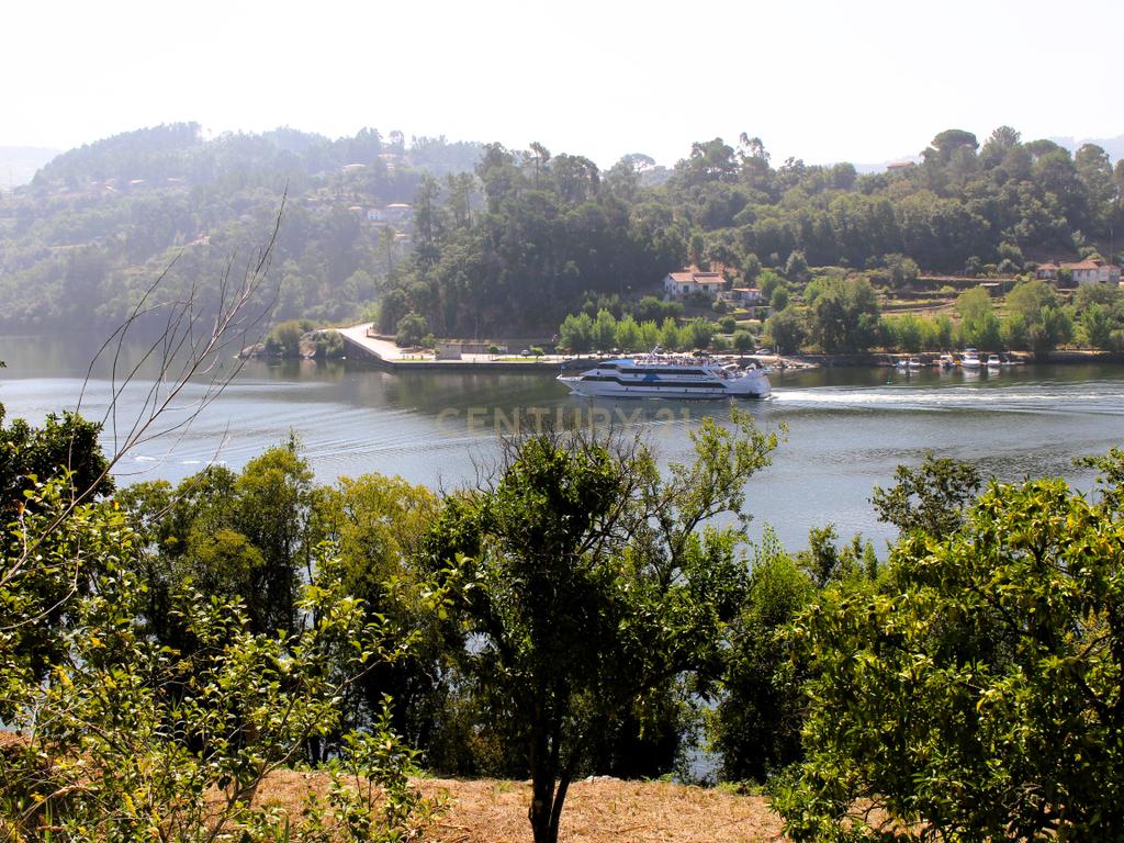 Quinta com casa com margem de rio Douro junto à Praia de Bitetos  - Image 51