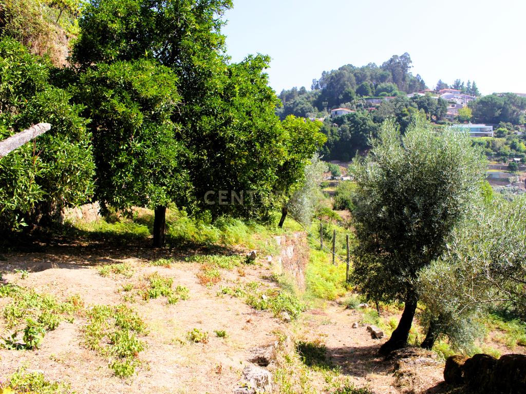 Quinta com casa com margem de rio Douro junto à Praia de Bitetos  - Image 31