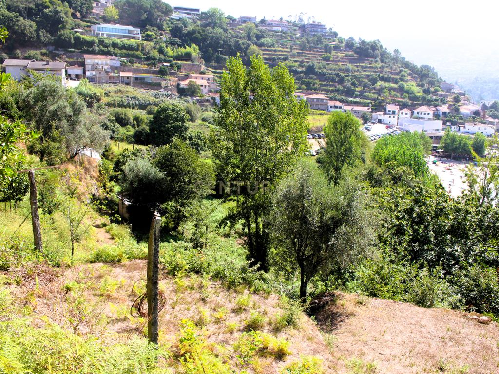 Quinta com casa com margem de rio Douro junto à Praia de Bitetos  - Image 34