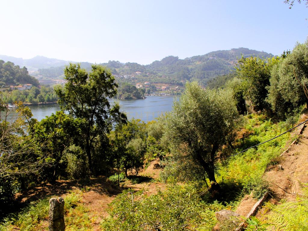 Quinta com casa com margem de rio Douro junto à Praia de Bitetos  - Image 47