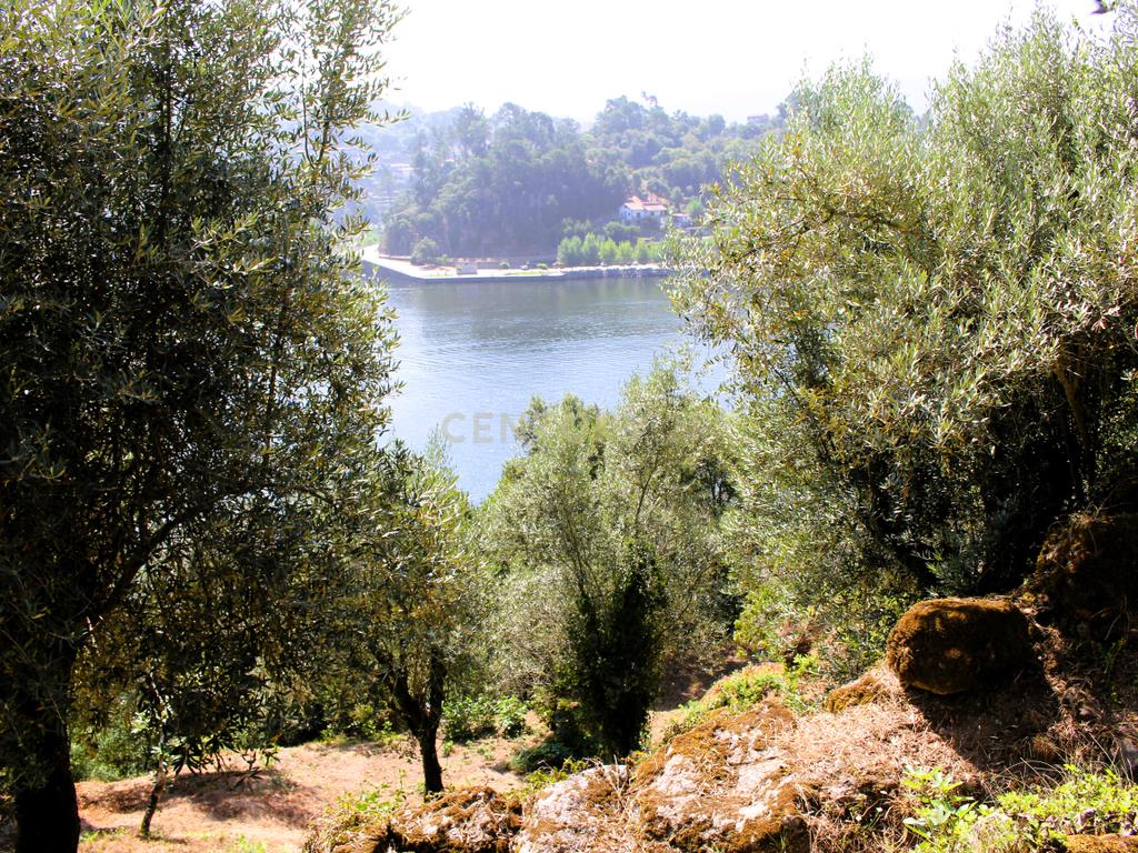 Quinta com casa com margem de rio Douro junto à Praia de Bitetos  - Image 45