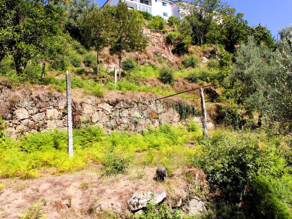 Quinta com casa com margem de rio Douro junto à Praia de Bitetos  - Image 41