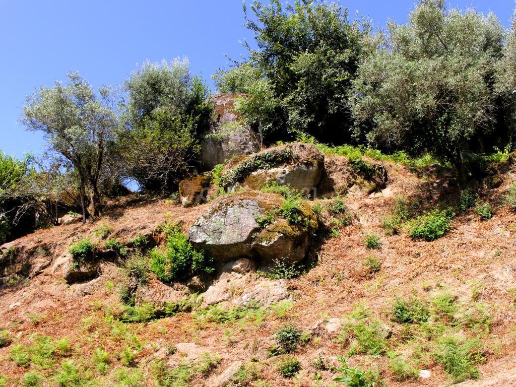Quinta com casa com margem de rio Douro junto à Praia de Bitetos  - Image 44