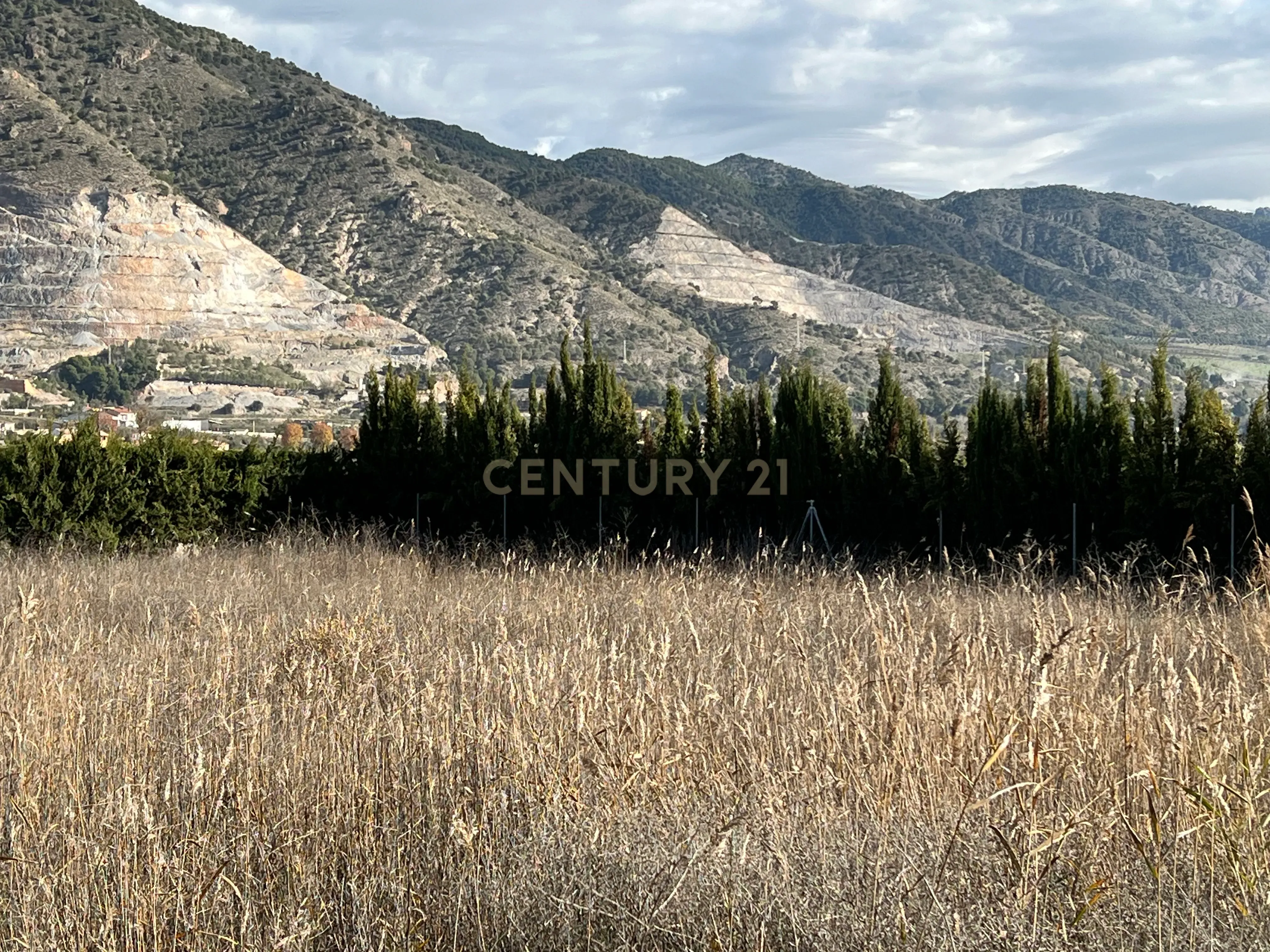 undefined - Image 6