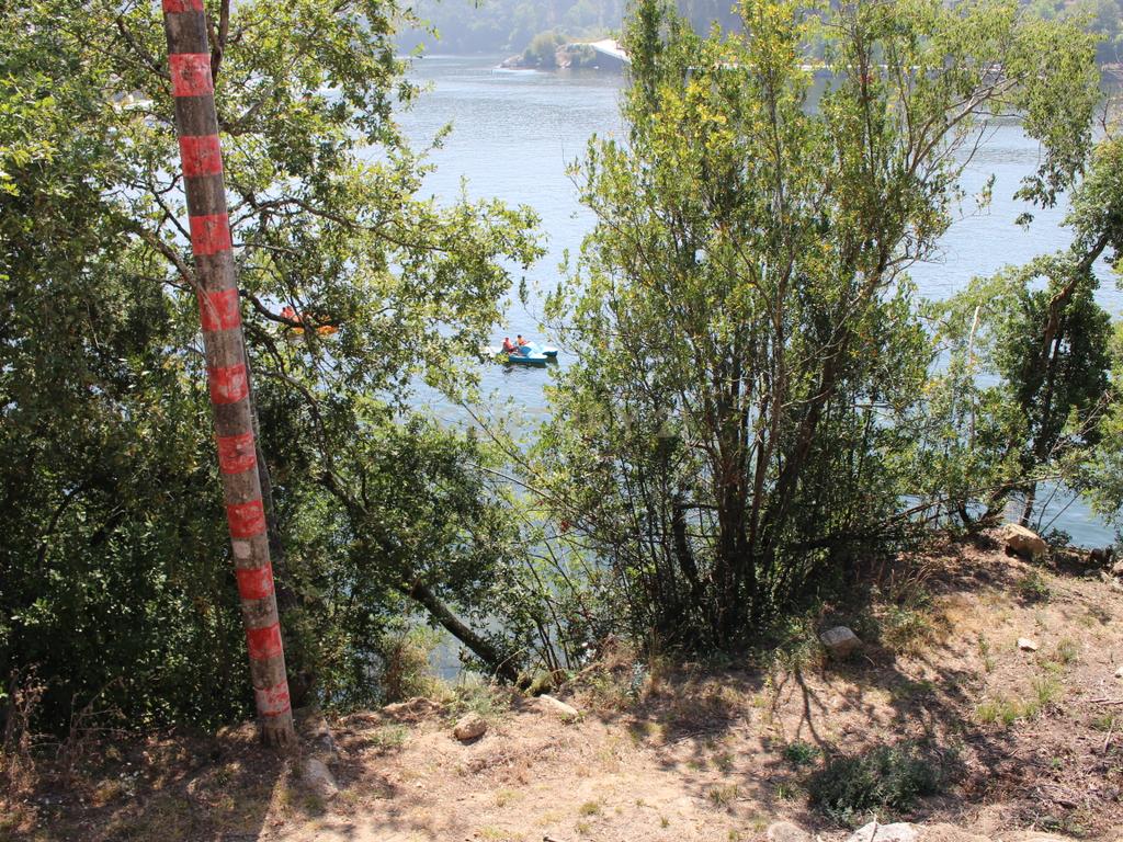 Quinta com casa com margem de rio Douro junto à Praia de Bitetos  - Image 54