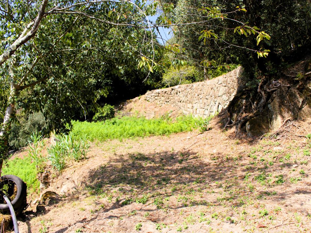 Quinta com casa com margem de rio Douro junto à Praia de Bitetos  - Image 42