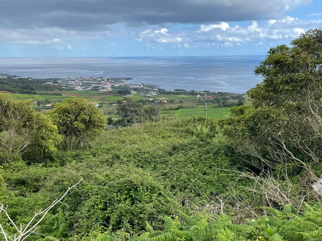 Terreno para construção com vista mar na freguesia de São Sebastião- Ilha Terceira. - Image 4