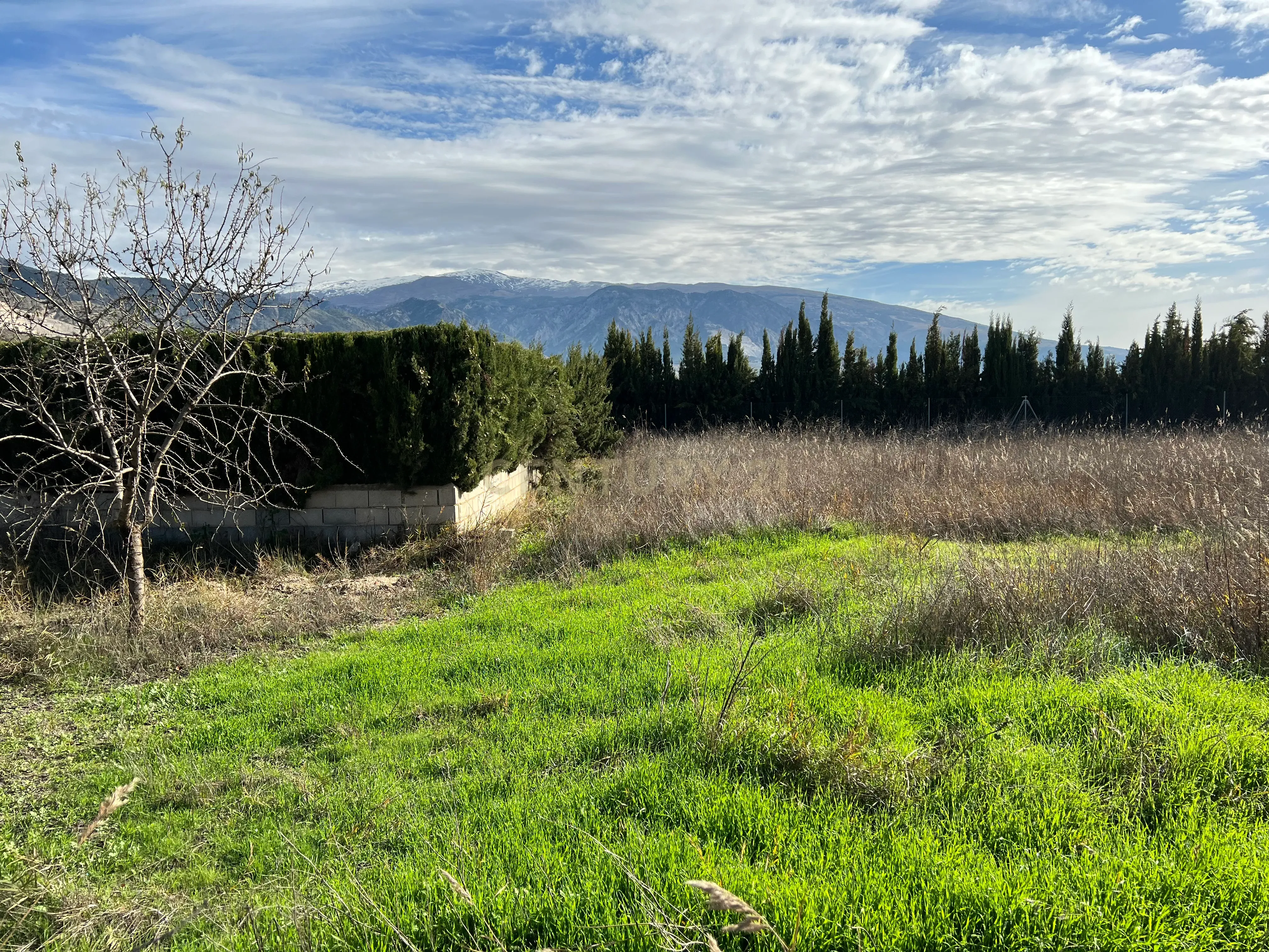 undefined - Image 5
