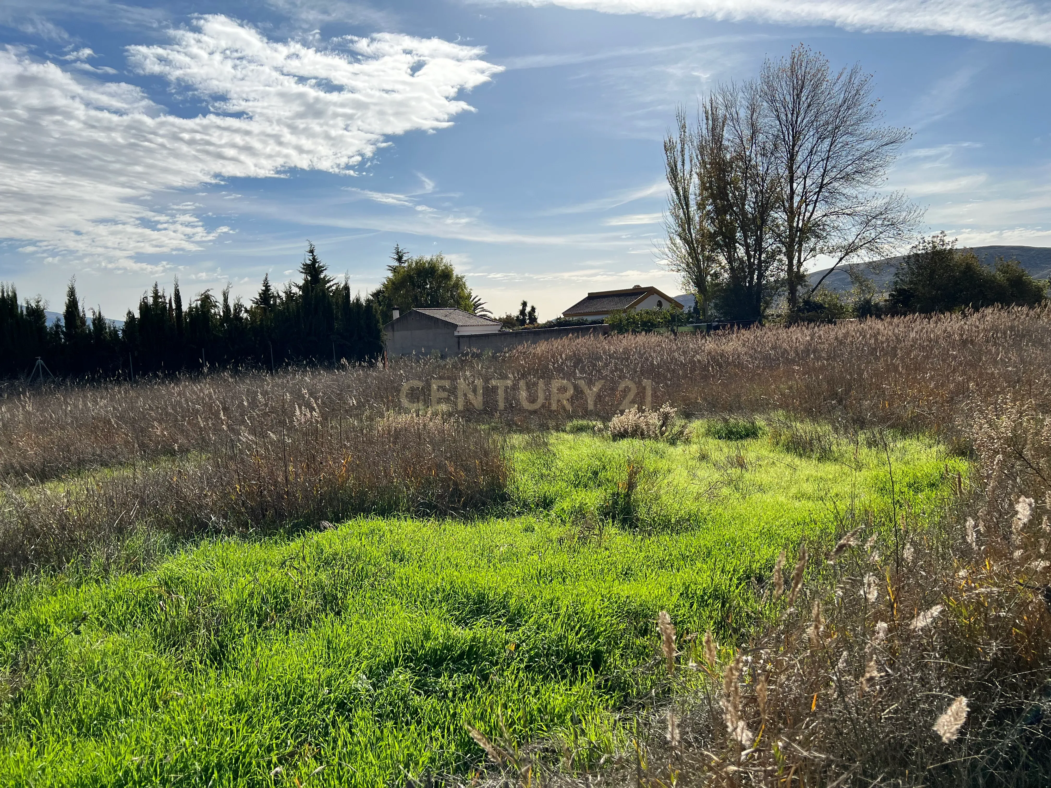 undefined - Image 3