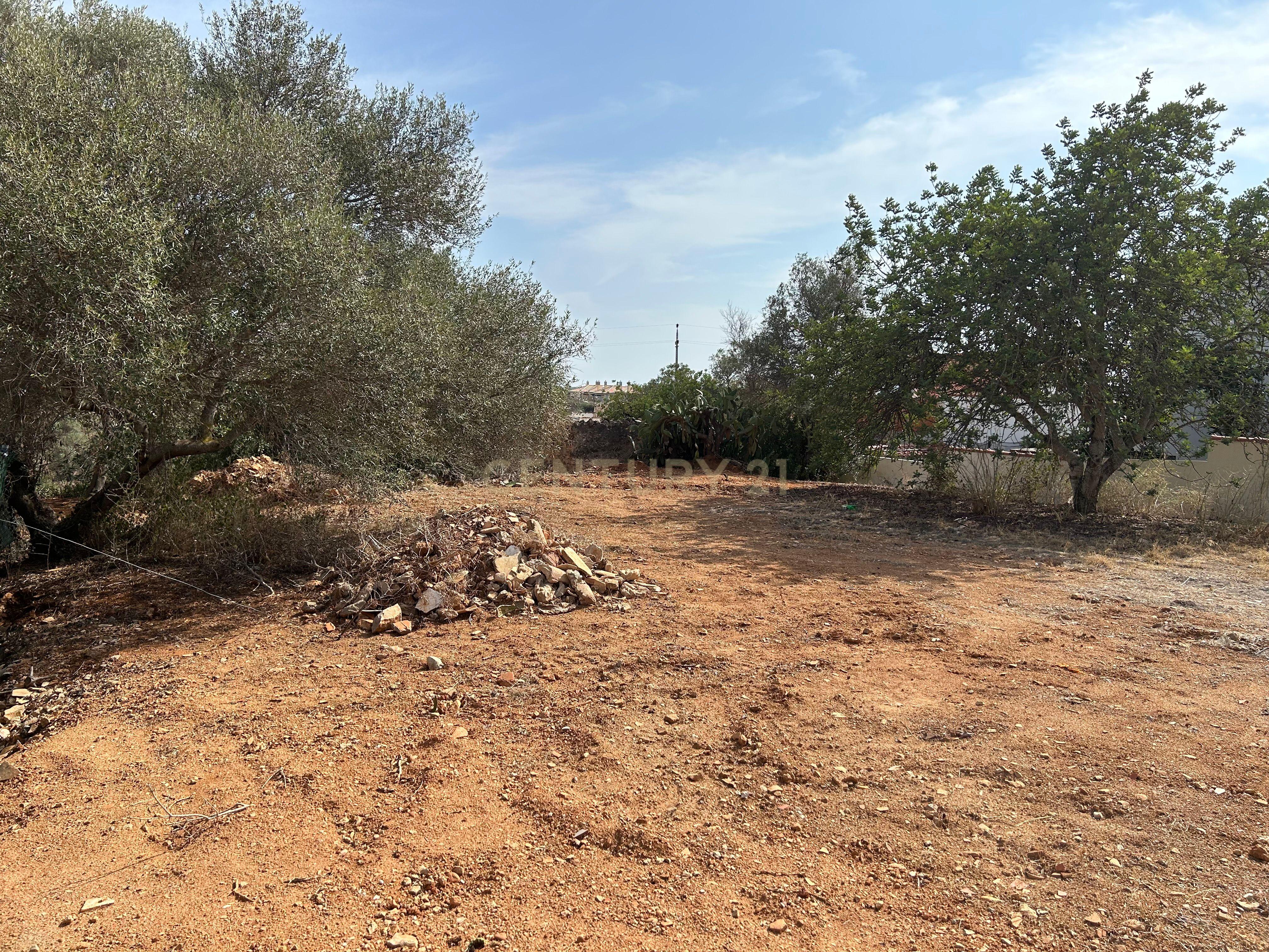 Terreno para construção com vistas desafogadas - Image 11