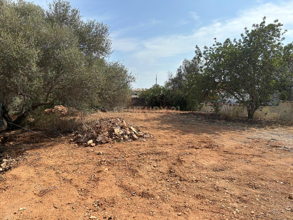 Terreno para construção com vistas desafogadas - Image 11