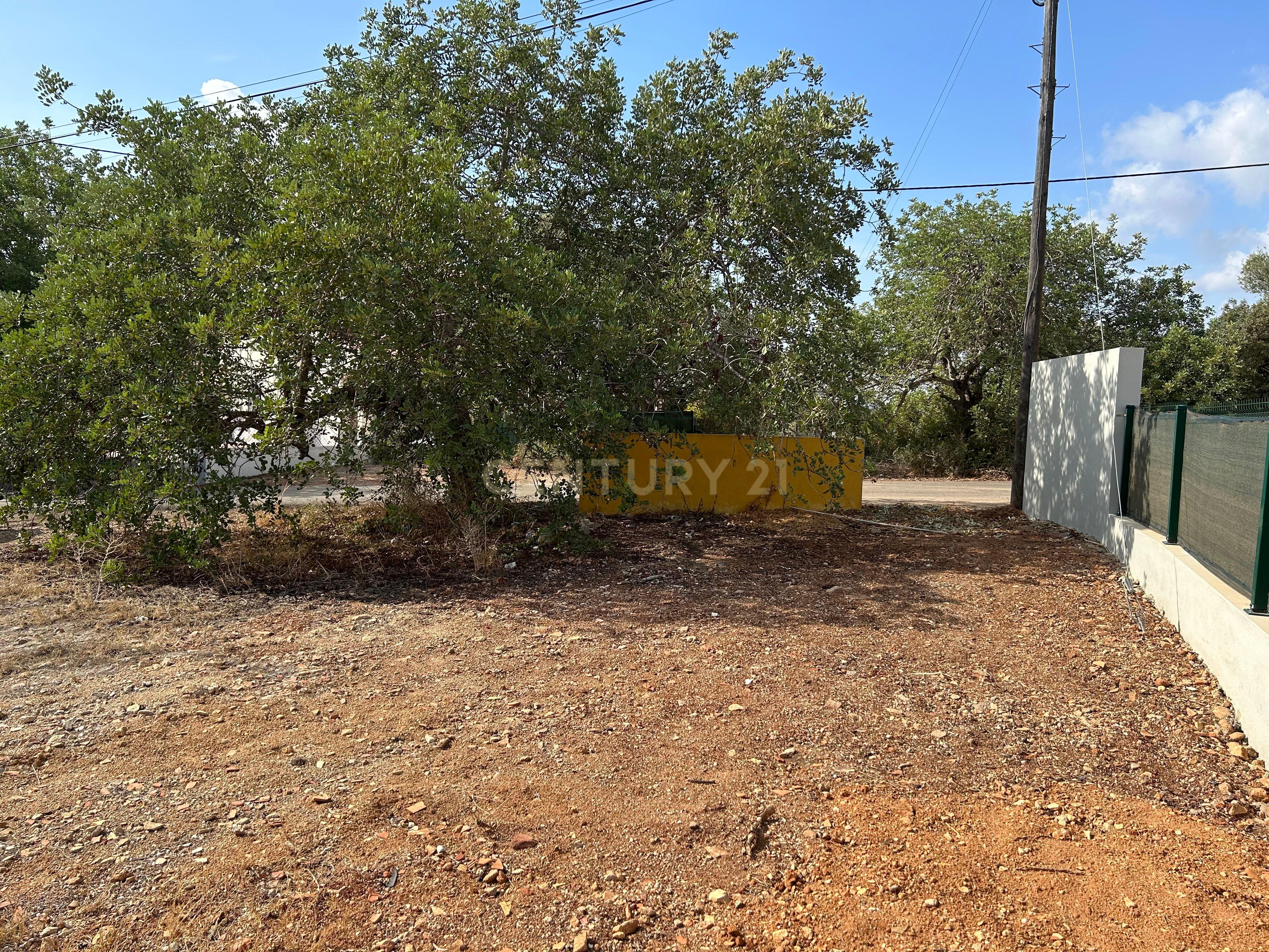 Terreno para construção com vistas desafogadas - Image 10