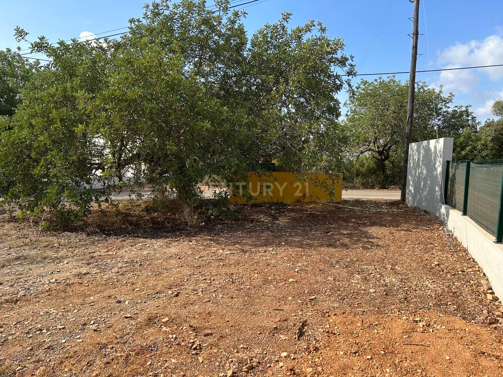 Terreno para construção com vistas desafogadas - Image 10