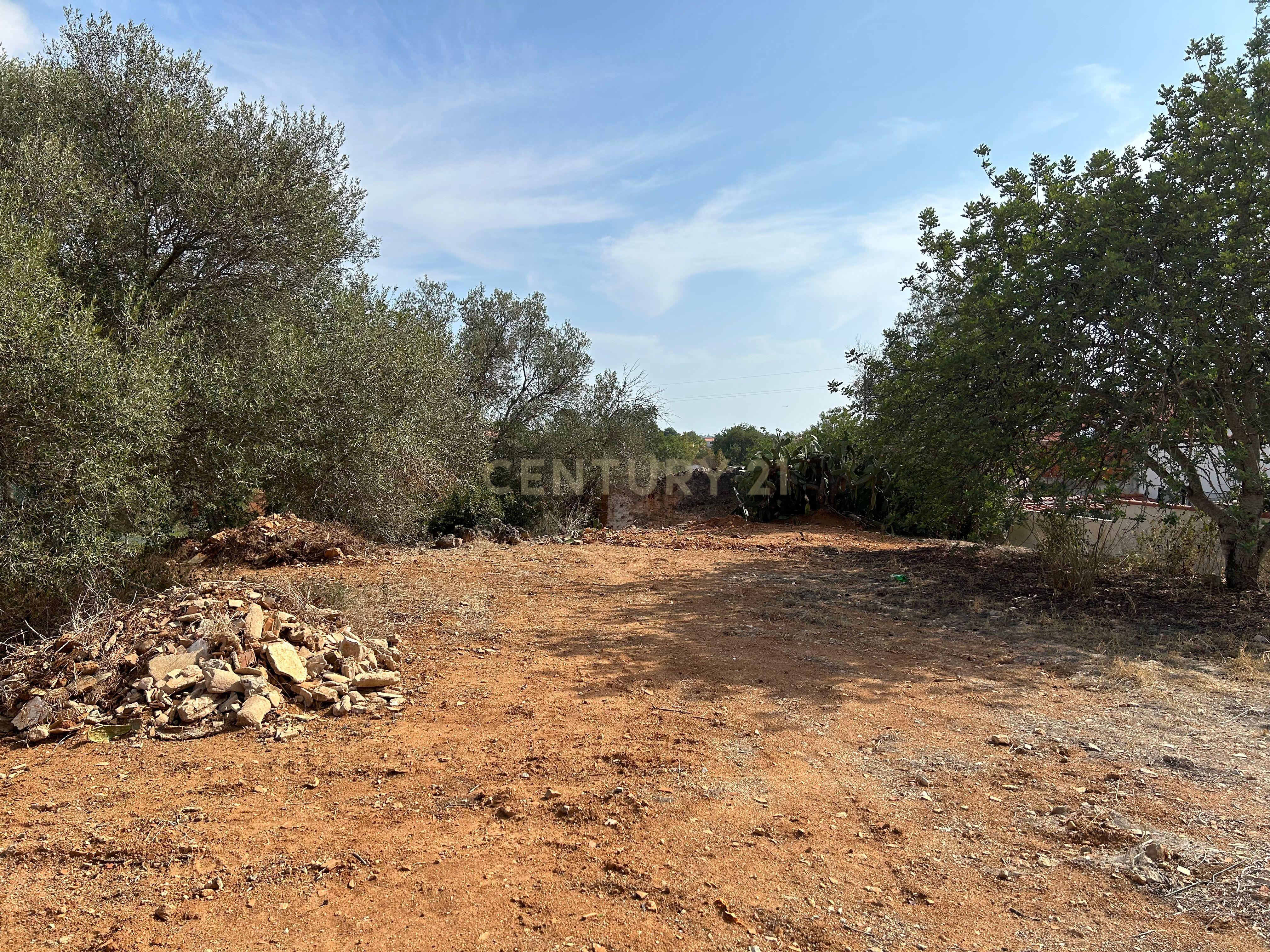 Terreno para construção com vistas desafogadas - Image 12
