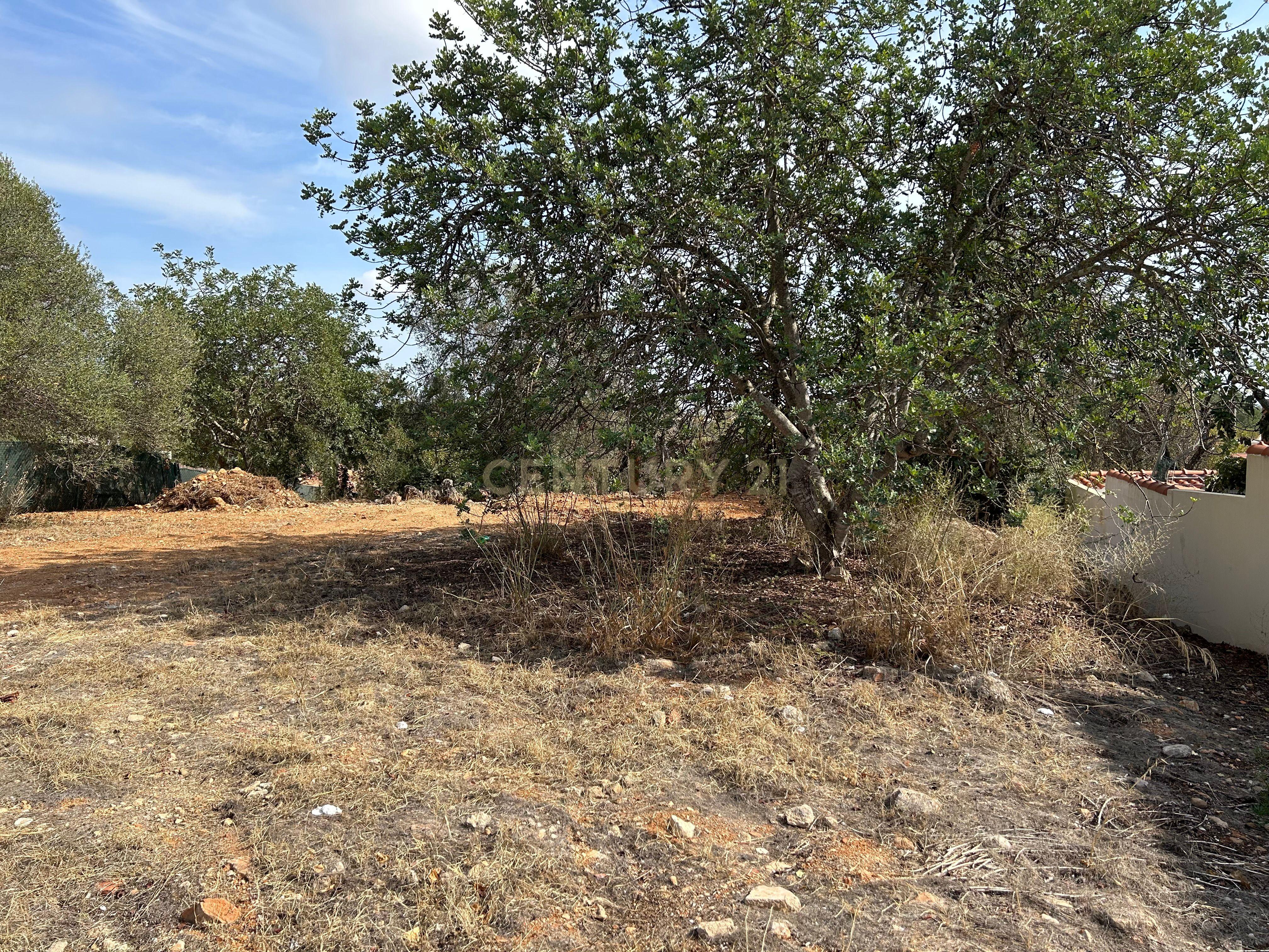 Terreno para construção com vistas desafogadas - Image 13