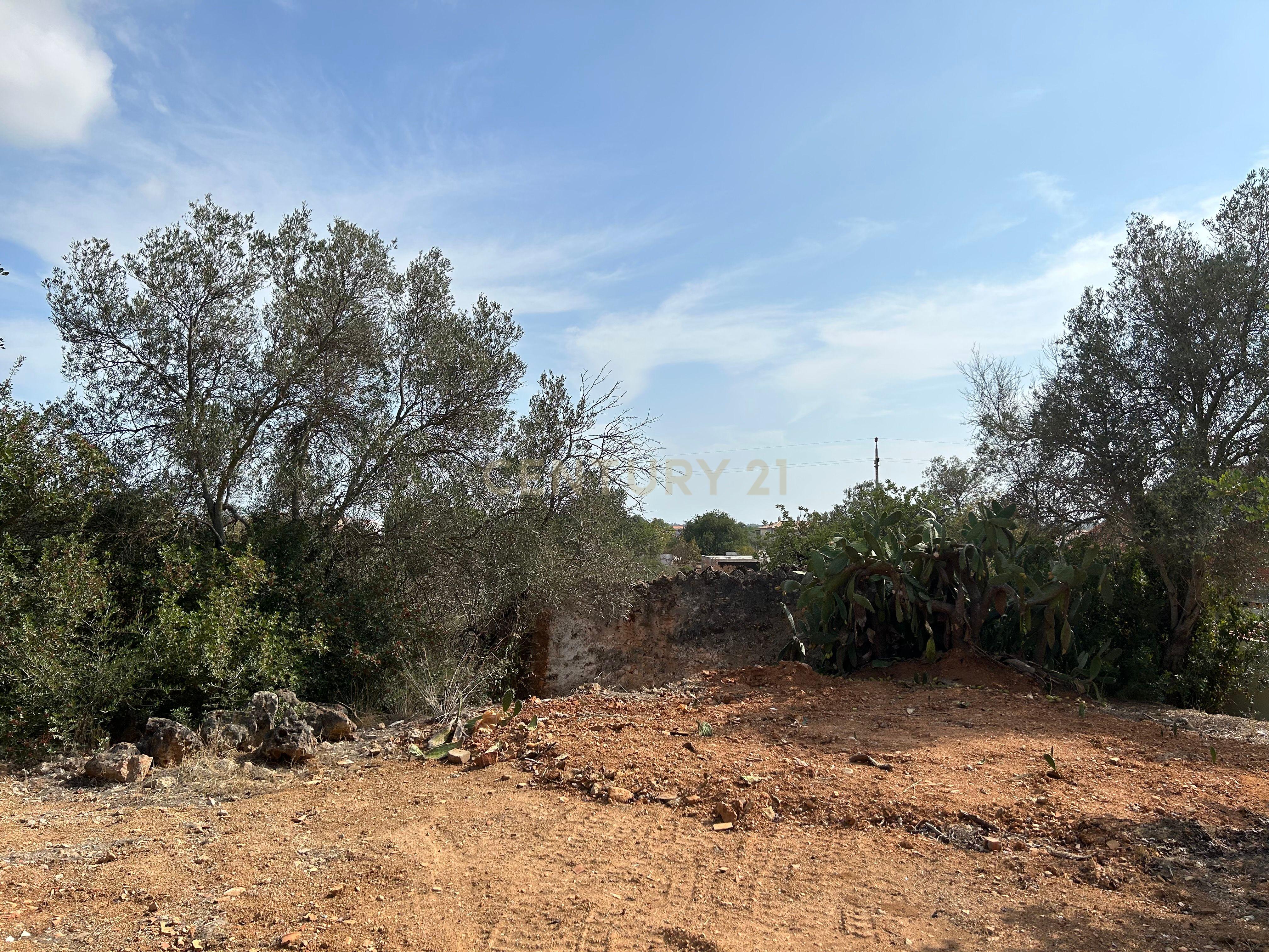 Terreno para construção com vistas desafogadas - Image 14
