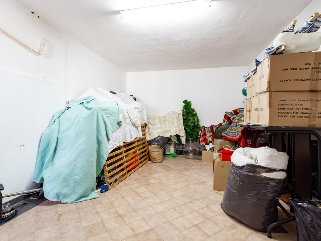 PROPRIEDADE COM HABITAÇÃO E ARMAZÉM A 40 MINUTOS DE LISBOA - Image 36