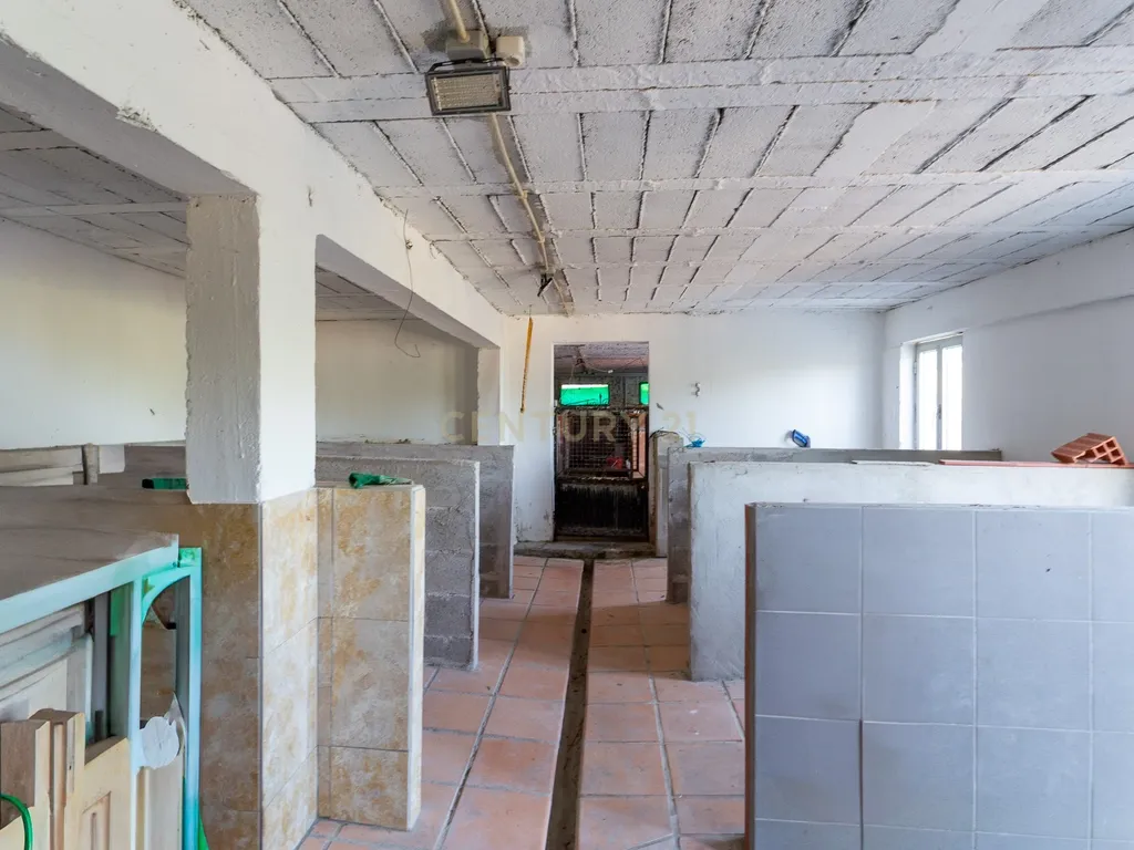 PROPRIEDADE COM HABITAÇÃO E ARMAZÉM A 40 MINUTOS DE LISBOA - Image 44
