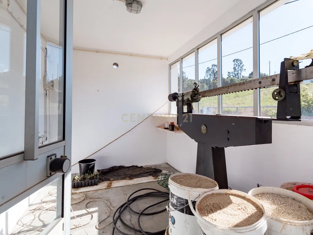 PROPRIEDADE COM HABITAÇÃO E ARMAZÉM A 40 MINUTOS DE LISBOA - Image 48
