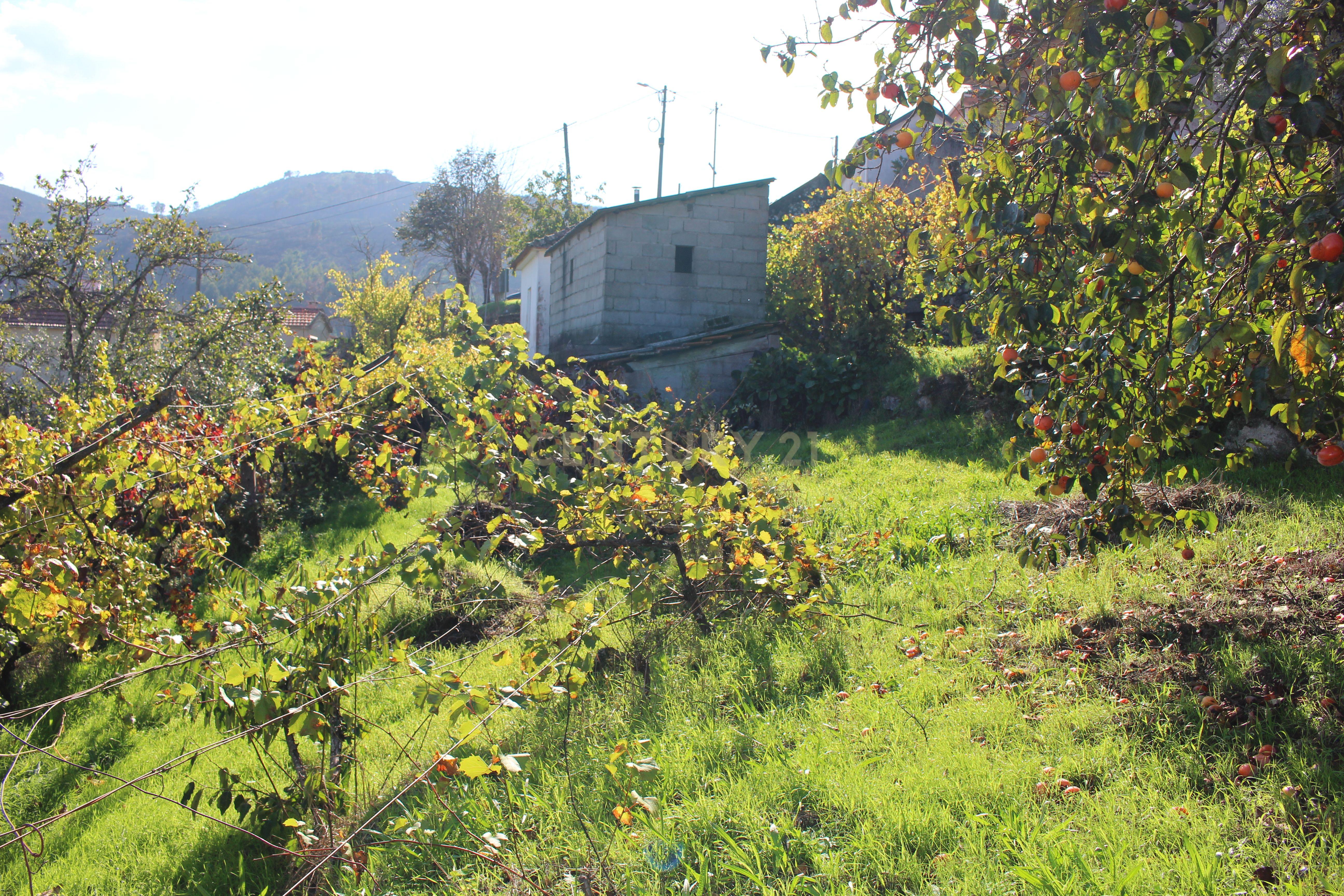 Moradia V2 em Oliveira do Douro, Cinfães - Image 13