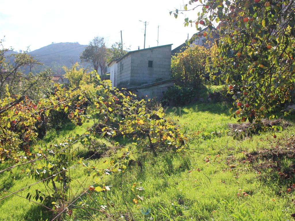 Casa para Recuperação em Cinfães - Oportunidade Única! - Image 13